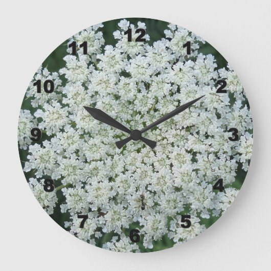 Horloge tropicale à la paroi des fleurs (Recto)