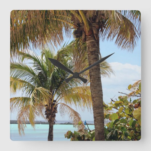 Horloge tropicale de l'île (Recto)