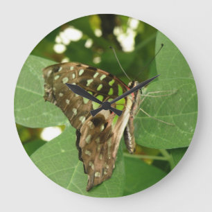 Horloge tropicale Iridescente Green Butterfly