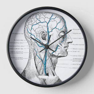 Horloge Visage veines muscles anatomie vintage