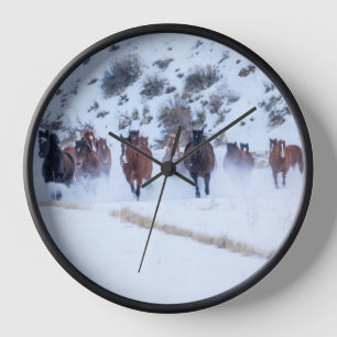 Horloge Voiture Cowboy   Hideout Ranch Shell, Wyoming