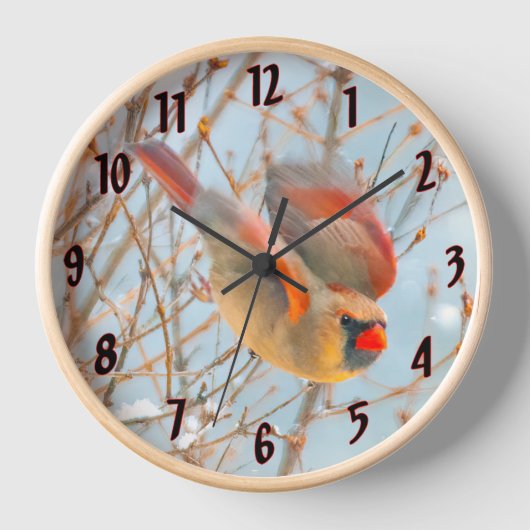 Horloge Vol Cardinal Nord - Photo originale (Recto)