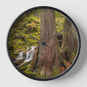 Horloge White Branch Falls, Oregon Cascades, Oregon (Recto)