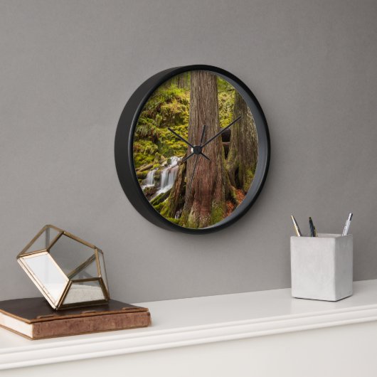 Horloge White Branch Falls, Oregon Cascades, Oregon (Bureau)