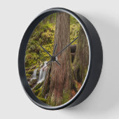 Horloge White Branch Falls, Oregon Cascades, Oregon (Angle)