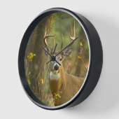 Horloge Whitetail Deer Buck | Corégone, Montana (Angle)