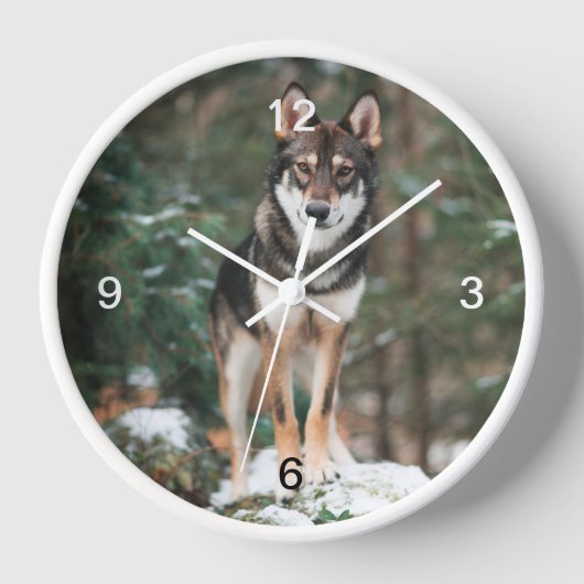 Horloge Wolfdog (Recto)
