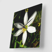 Horloges de beauté blanches (Angle)