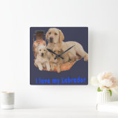 Horloges de récupération Labrador (Maison)