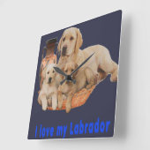 Horloges de récupération Labrador (Angle)