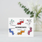 Hormonen Briefkaart (Staand voorkant)