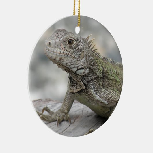 Horned Iguana Ornament (Rechts)