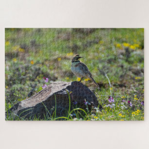 Horned Lark Legpuzzel