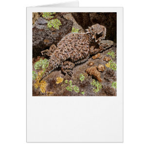 Horned Lizard Kaart