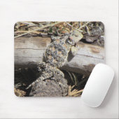 Horned Lizard Muismat (Met muis)