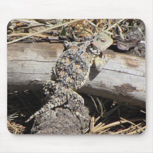 Horned Lizard Muismat (Voorkant)