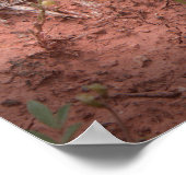 Horned Lizard Poster (Hoek)