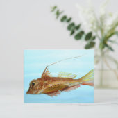 Horned searobin briefkaart (Staand voorkant)