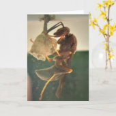 Hornet, kaart (Gele Bloem)