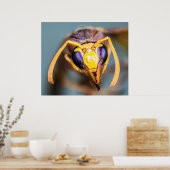 Hornet Up Close Poster (Keuken)