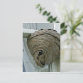 Hornets Nest Briefkaart (Staand voorkant)