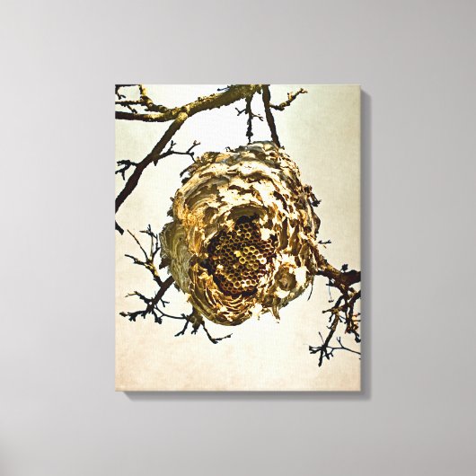 Hornet's nest canvas afdruk (Voorkant)