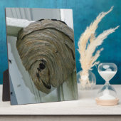 Hornets Nest Fotoplaat (Zijkant)