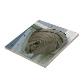 Hornets Nest Tegeltje (Zijkant)