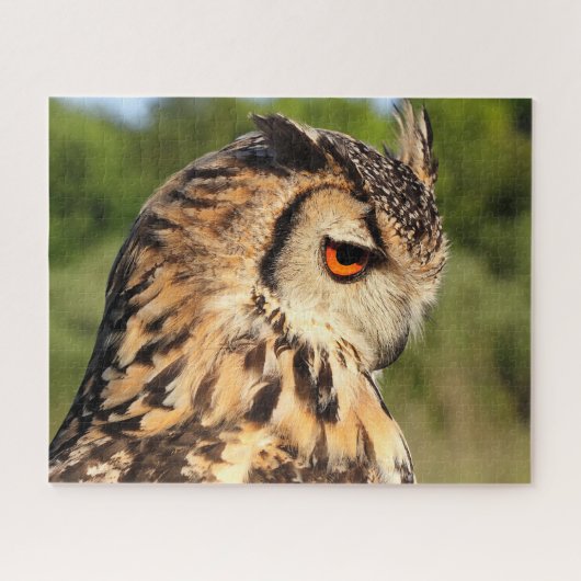 Hornugle Owl- Vogels van Prey. Legpuzzel (Horizontaal)
