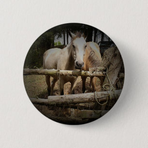 HORSE 1 Button
