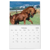 Horse agenda kalender (Feb 2026)