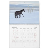 Horse agenda kalender (Feb 2026)
