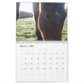 Horse agenda kalender (Feb 2026)