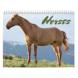 Horse agenda kalender