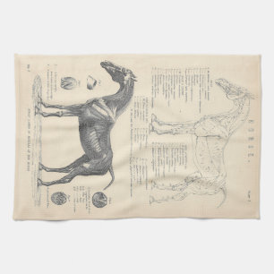 Horse Anatomy Tea Towel Theedoek