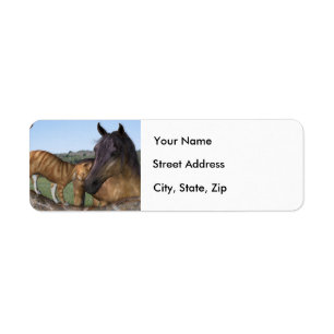 Horse and cat, "Love thy Neigh-Spint" Address Labe Etiket