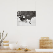 Horse and Sleigh, 1935. foto Poster (Keuken)