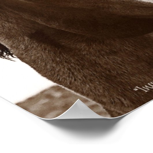 Horse Art Poster With Inspirational Quote 11x14 (Coin)