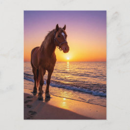 Horse at Sunset on the Beach Coastal Postcard Feestdagenkaart