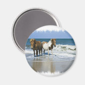 Horse Beach Magnet (Recto/Verso)