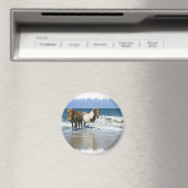 Horse Beach Magnet (In Situ (Lave-vaisselle))