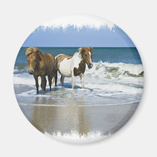 Horse Beach Magnet Magneet