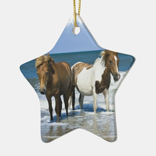 Horse Beach Ornament (Links)