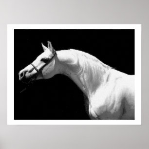 Horse Black en White Poster