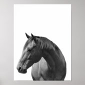 Horse Black White Style Modern Poster (Voorkant)