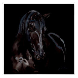 Horse Blackas Midnight Perfect Poster