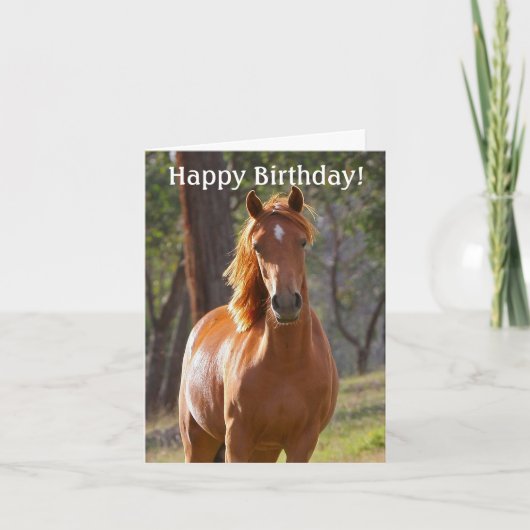 Horse Bonne carte d'anniversaire pour les amateurs (Devant)