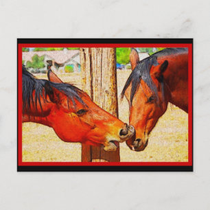 Horse Briefkaart - De middagkus