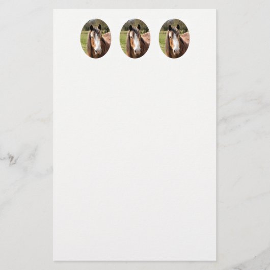 HORSE BRIEFPAPIER (Voorkant)