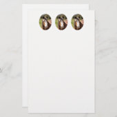 HORSE BRIEFPAPIER (Voorkant / Achterkant)